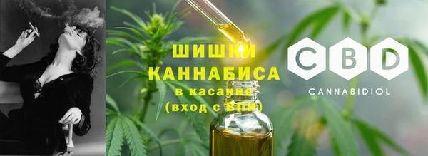 амф Белокуриха