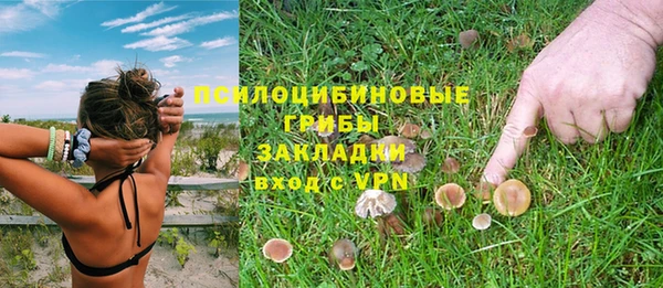 амф Беломорск
