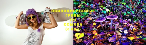 амф Белокуриха
